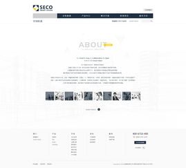 安恒集团内页设计稿 神州互动网站建设项目
