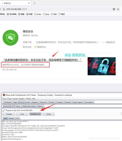 web安全 基础入门 数据包拓展,安装burp suite,练习来源页伪造 浏览器信息伪造 http动作练习 投票系统程序设计缺陷分析