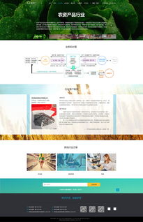 网站界面设计稿