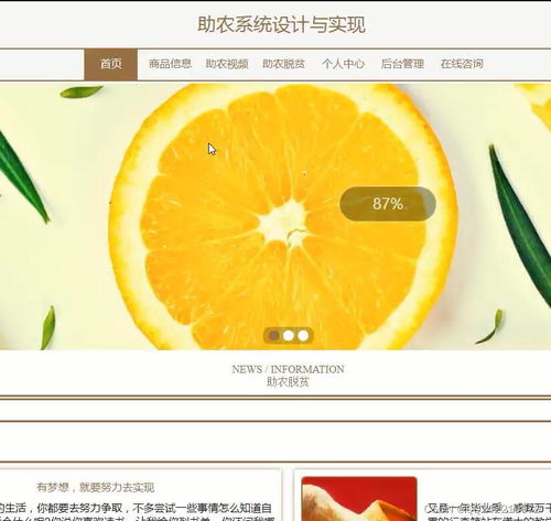 SpringBoot与JSP农产品商城宣传网站的设计与实现