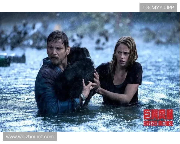 地心历险记2：这部科幻巨制，80%观众都没看懂的12处剧情反转