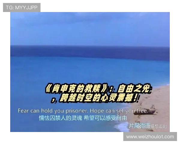 百万朵玫瑰背后的爱情与梦想交织探索一段跨越命运的心灵救赎之旅 百万朵玫瑰背后的爱情与梦想交织探索一段跨越命运的心灵救赎之旅