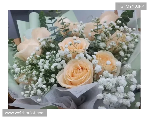 寻香而至，醉美时光——香水百合的极致魅力探索