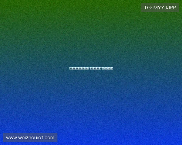 巾帼风采,巾帼担当——探寻“市长是女婿大人”背后的女性力量 巾帼风采,巾帼担当——探寻“市长是女婿大人”背后的女性力量