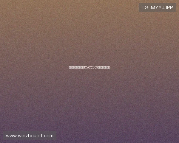 廉洁之光，照亮香江：ICAC2009，一场正义的接力