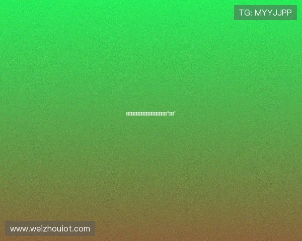 拨开迷雾,那些闪耀背后不为人知的“故事”